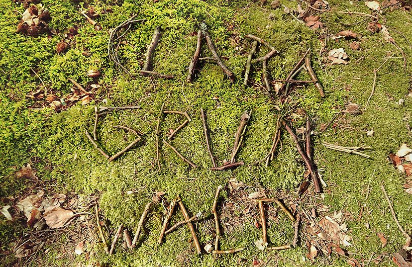 claragrunwald-wald.jpg